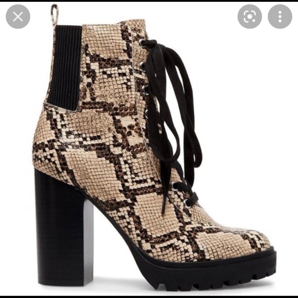 Brand new Steve Madden Latch tan snake booties